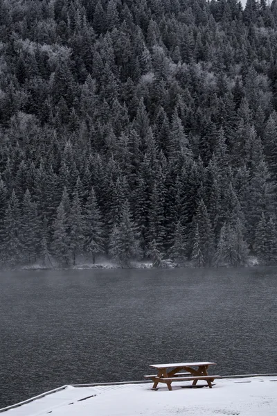 Cypress Hills en invierno —  Fotos de Stock