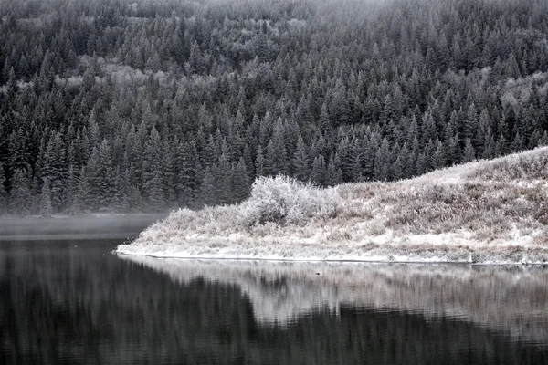 冬のサイプレス丘 — ストック写真