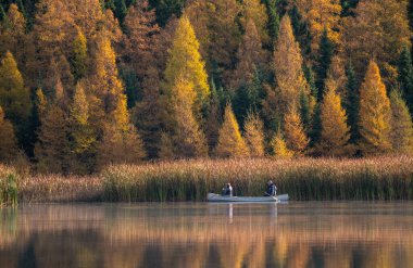 Prairie colors in fall yellow orange trees canoe calm clipart