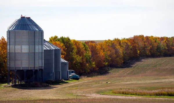 Prairie Colors Fall Yellow Orange Trees Colorful — Foto Stock