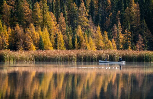 落黄桔树中的草原色彩平静的独木舟 — 图库照片