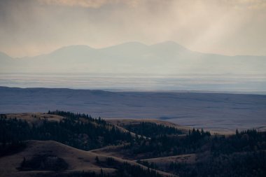 Cypress Hills Saskatchewan Alberta 'nın manzarası