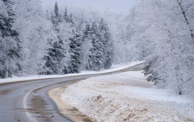 Riding Mountain Manitoba 'daki Hoar Frost sahnesi