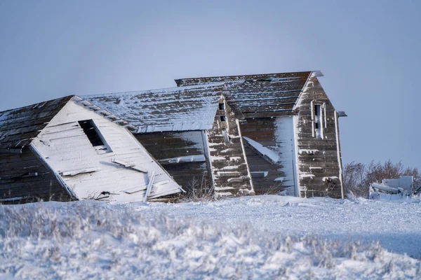 Old Farm Ranch Prairie Saskatchewan Winter — стоковое фото