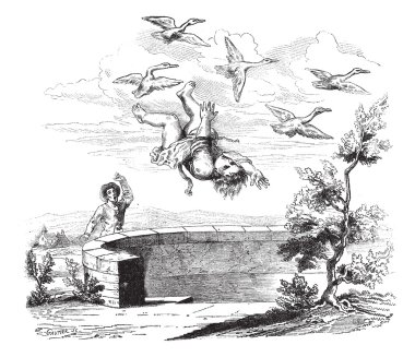 sonbahar bertoldino, antika gravür.