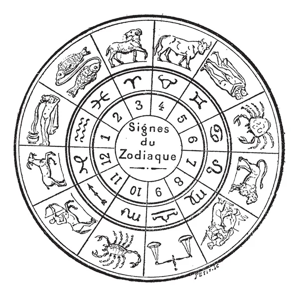 Segni dello Zodiaco, incisione vintage . — Vettoriale Stock