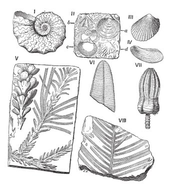 Trias, antika gravür.