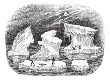 Icebergs, vintage engraving. clipart