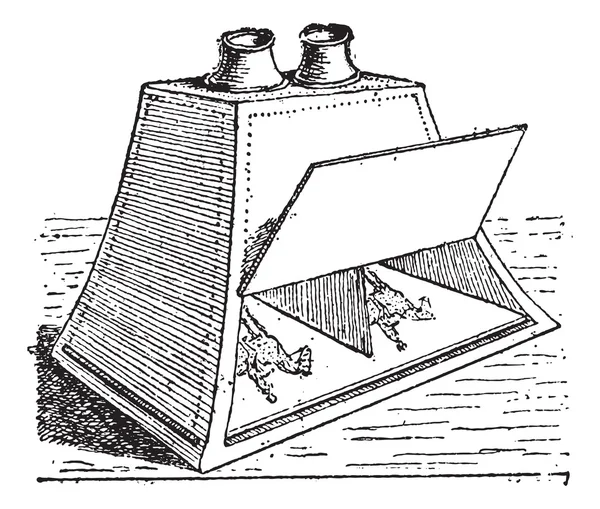 Estereoscopio, grabado vintage . — Vector de stock