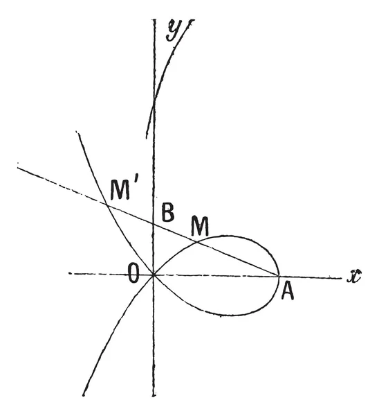 Curva estrofoidea, grabado vintage . — Archivo Imágenes Vectoriales