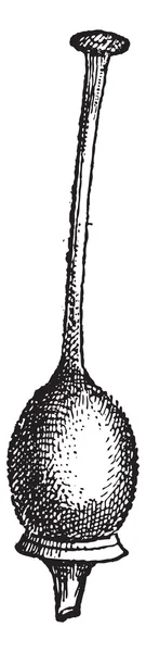 样式或 gynoecium，复古雕刻 — 图库矢量图片