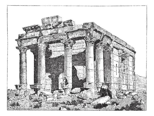 戴克里先寺、 巴尔米拉、 叙利亚、 复古雕刻. — 图库矢量图片