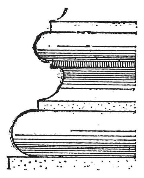 Torus, Vintage-Gravur — Stockvektor