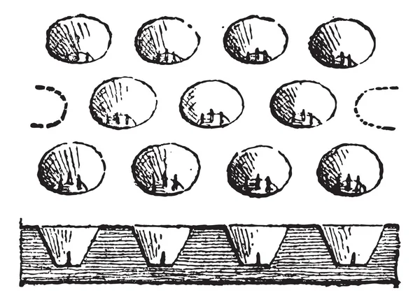 Яичный лоток, винтажная гравировка — стоковый вектор