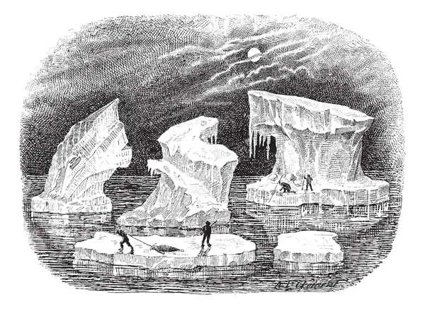 Icebergs, grabado vintage . — Archivo Imágenes Vectoriales