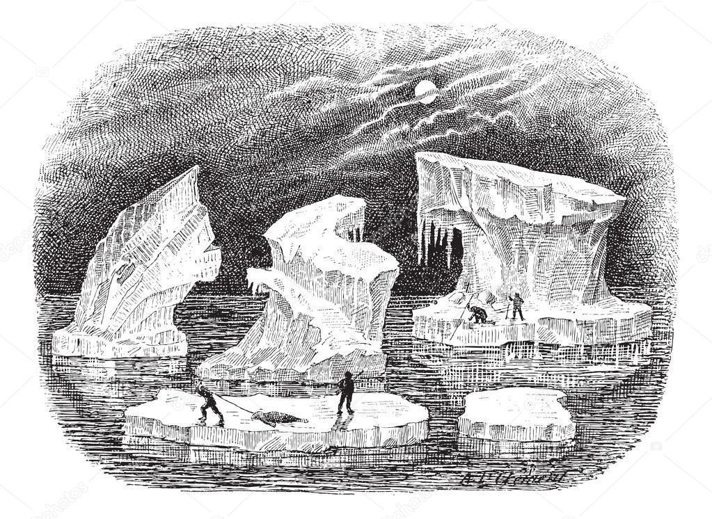 Icebergs, vintage engraving.