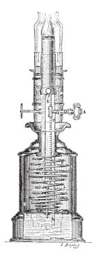 lamba moderatör, antika gravür.