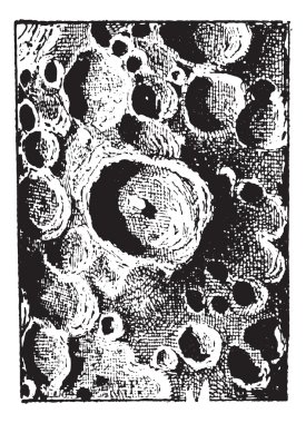 tycho krateri, ay vintage oyma.