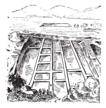 saltmarshes, antika gravür