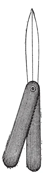 Скальпель или ланцет, винтажная гравировка . — стоковый вектор