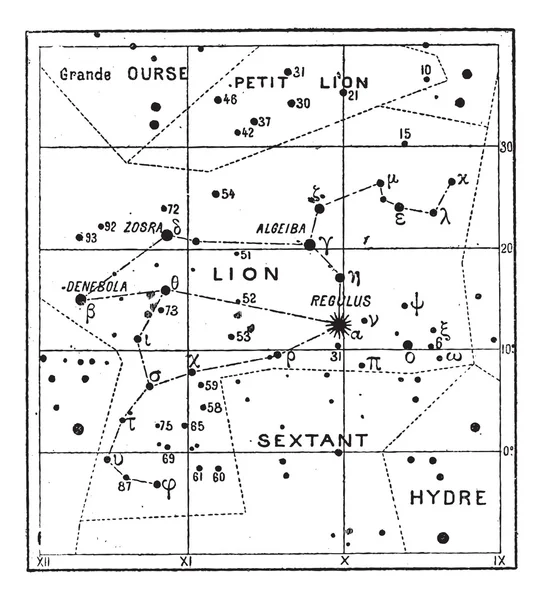 Leo Constellation, gravura vintage — Vetor de Stock