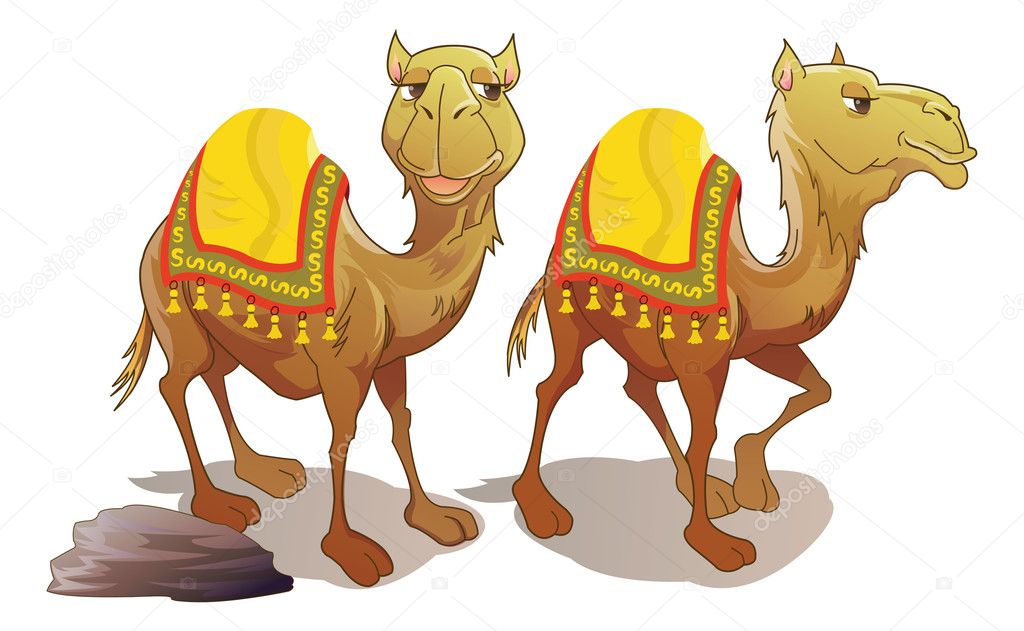 Two Camels, illustration