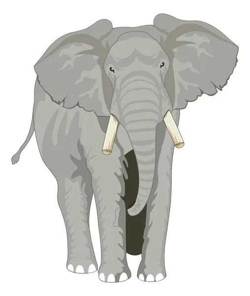 Elefant, Illustration — Stockvektor