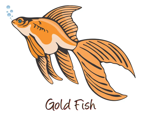 Goldfish, Color Illustration — Stock Vector