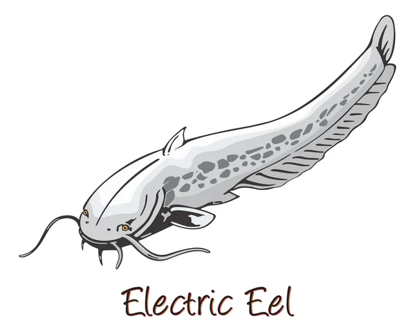 Anguila eléctrica, ilustración de color — Vector de stock