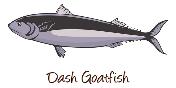Dash-and-dot Goatfish, Color Illustration — Stock Vector