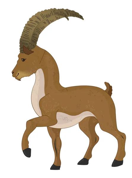 Wild Goat or Capra aegagrus, illustration — Stock Vector