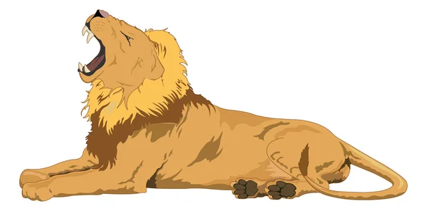 Lion, illustration — Image vectorielle