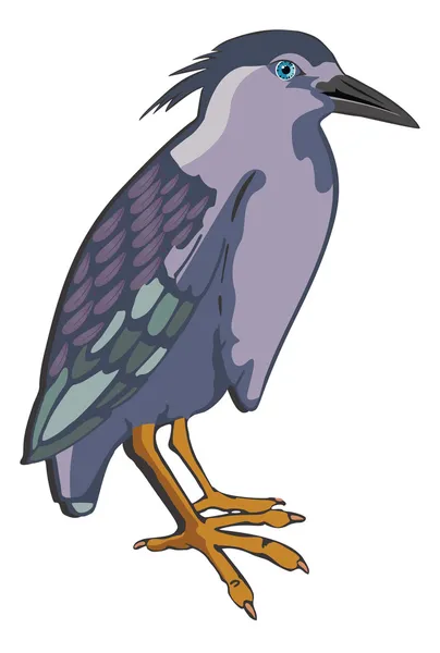 Nachtreiher oder Nycticorax sp., Illustration — Stockvektor