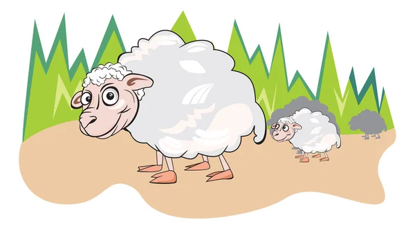 Schafe oder Eierstöcke, Illustration — Stockvektor