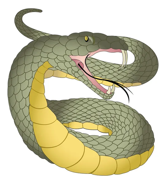 Змія, ілюстрація — стоковий вектор