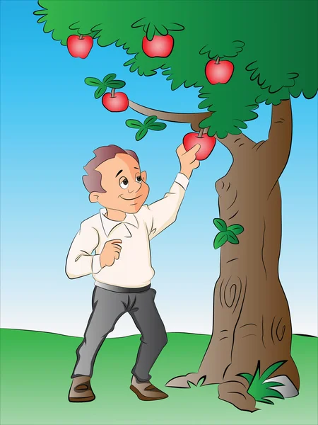 Man Picking Apples from a Tree, ilustração —  Vetores de Stock