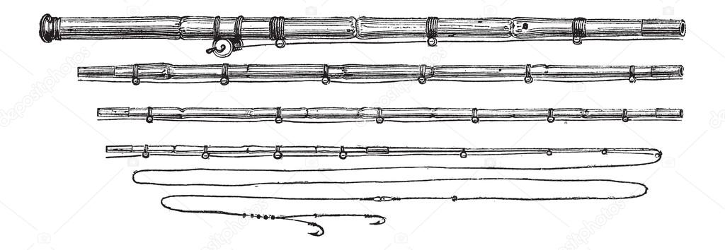 Fishirman's Rod, vintage engraving