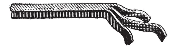 Ruwe tuin schoffel, vintage gravure — Stockvector