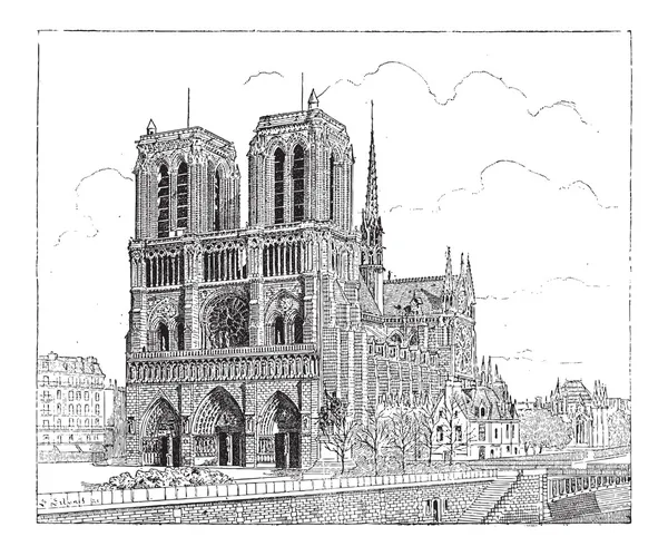 Notre Dame de Paris, Париж, Франция, винтажная гравировка — стоковый вектор