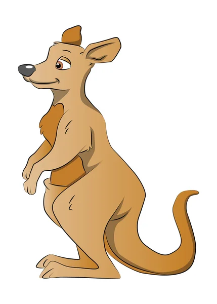 Brun känguru, illustration — Stock vektor