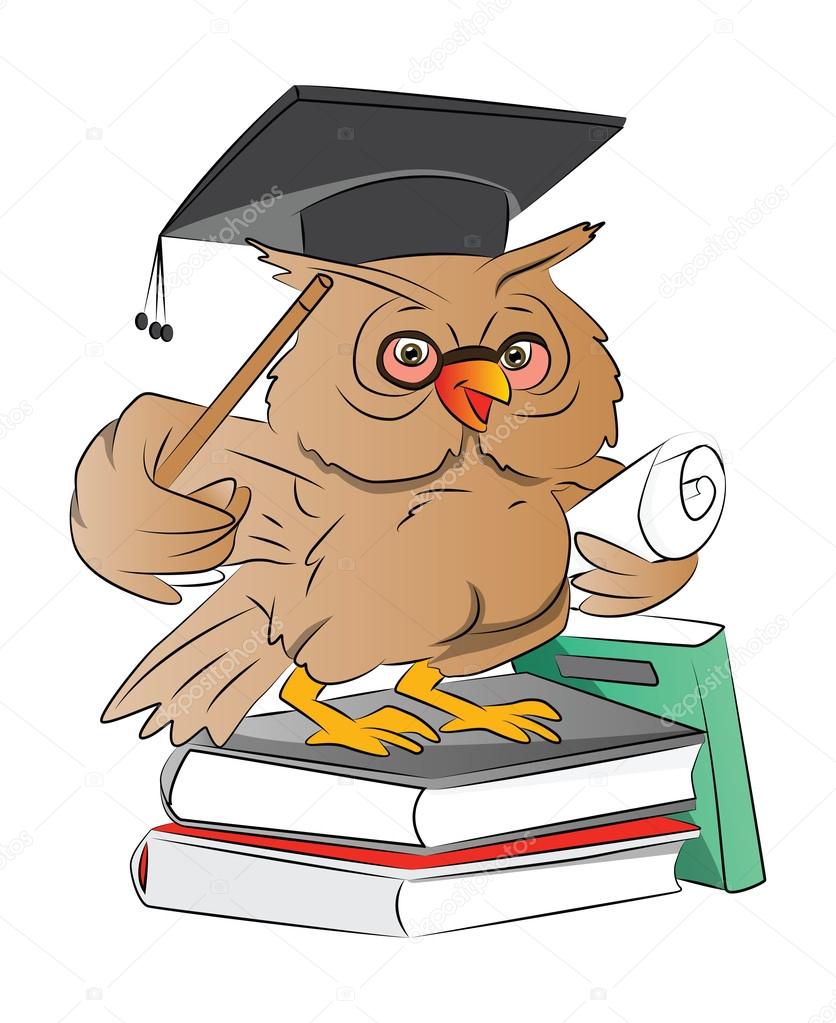 Smart Owl Scholarship0