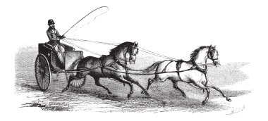 tandem, vintage oyma içinde 2 atlar tarafından çekilen 2 tekerlekli cart