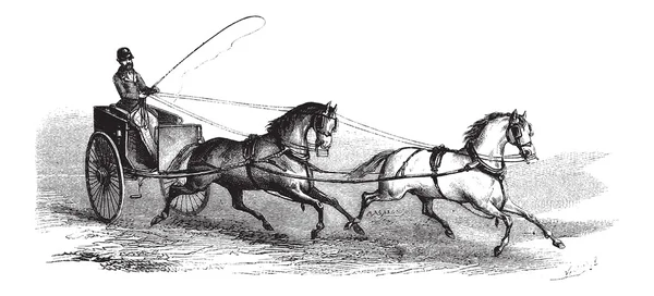 2-wheeled Cart drawn by 2 Horses in Tandem, vintage engraving — Stock Illustration 2-wheeled Cart drawn by 2 Horses in Tandem, vintage engraving Vector Graphics