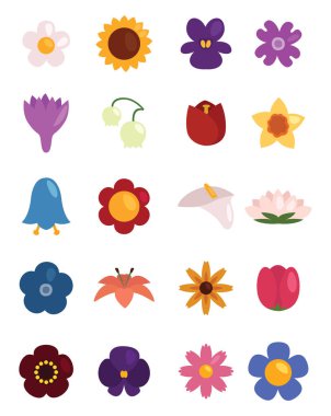 Mevsimlik çiçekler, illüstrasyon, vektör, beyaz arkaplanda.