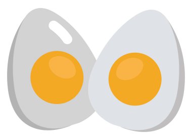 Haşlanmış yumurta ikiye, illüstrasyon, vektör, beyaz arka planda..