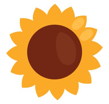 Sarı ayçiçeği, illüstrasyon, vektör, beyaz arkaplanda.