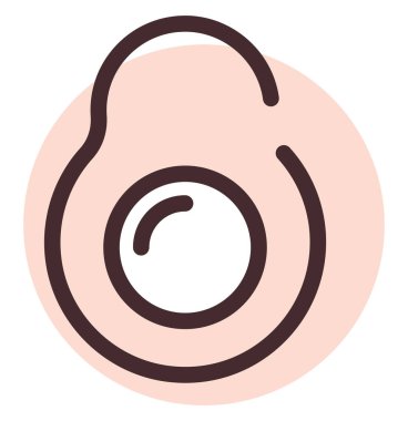 Avokado yarı yarıya, illüstrasyon, vektör, beyaz arkaplan üzerinde.