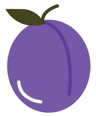 Mor erik, illüstrasyon, vektör, beyaz arkaplan.