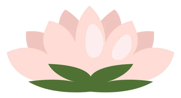 Fiore Loto Rosa Illustrazione Vettore Sfondo Bianco — Vettoriale Stock