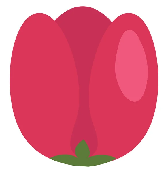 Roze Tulp Illustratie Vector Een Witte Achtergrond — Stockvector